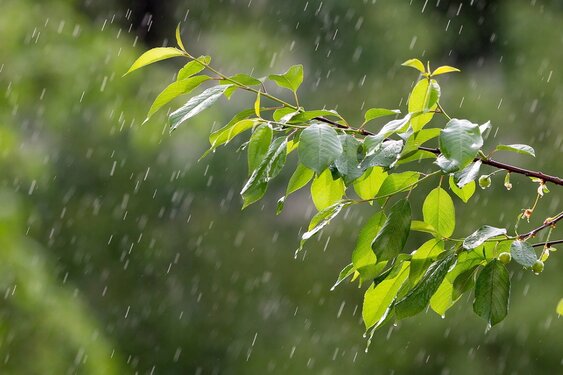Geleidelijk minder wind en buien, maar weerbeeld blijft wisselvallig