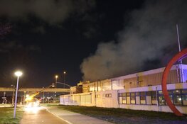 Grote brand bij bedrijf in Westpoort