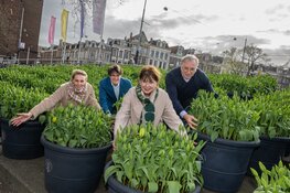 Tulp Festival Amsterdam van start