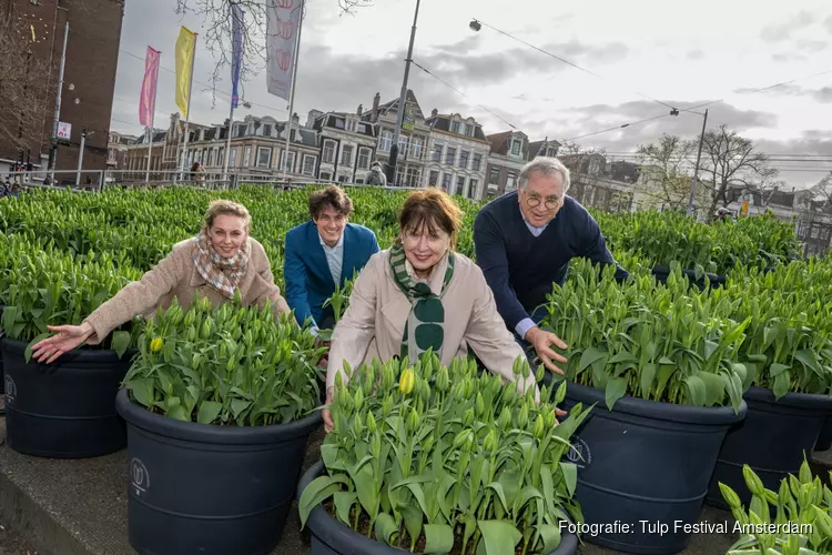 Tulp Festival Amsterdam van start