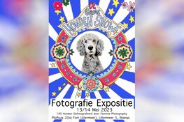 De allereerste tentoonstelling van de Grote Hondenshow vindt plaats in Weesp