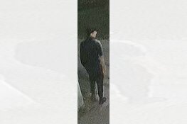 Poging diefstal met geweld Westerpark