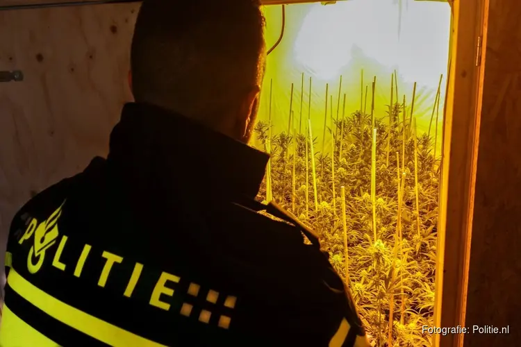 Politie vindt hennepkwekerij achter een dartbord