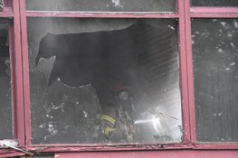 Brand bij hockeyclub Xenios