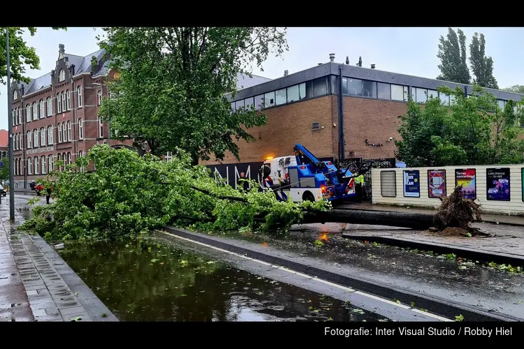 Boom waait om op Mauritskade in Amsterdam