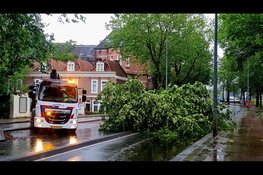 Boom waait om op Mauritskade in Amsterdam