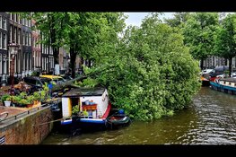 Meerdere bomen omgewaaid op Keizersgracht in Amsterdam