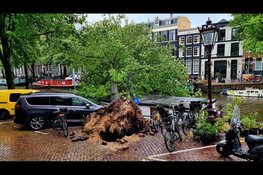Meerdere bomen omgewaaid op Keizersgracht in Amsterdam
