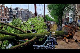 Meerdere bomen omgewaaid op Keizersgracht in Amsterdam