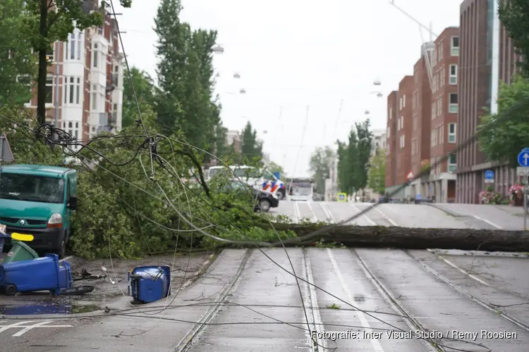 Boom raakt tram-bovenleiding in Amsterdam