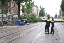 Boom raakt tram-bovenleiding in Amsterdam