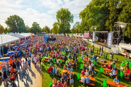 De Dam tot Dam Businessloop: het teamuitje van het jaar!