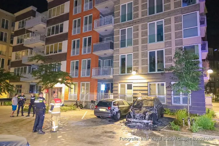 Auto in brand in Diemen