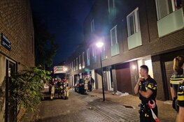 Hennepplantage aangetroffen bij woningbrand