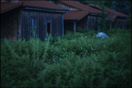 Janis Rafa – Feed me. Cheat me. Eat me.