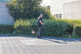 Schot gelost bij metrostation Kraaiennest