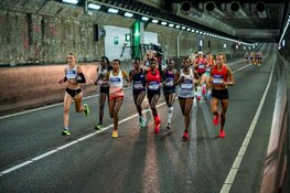 Prestigieuze Dam tot Damloop prooi voor Kimeli en Keino