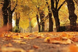 Oktober begint met zacht najaarsweer