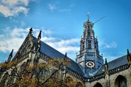 Het cultureel erfgoed van Haarlem: Ontdek de meesterwerken van de stad