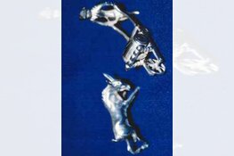 Ouder echtpaar slachtoffer van babbeltruc; herkent u deze spullen?