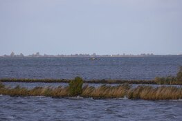 Boot met kinderen omgeslagen vlakbij Eiland Pampus