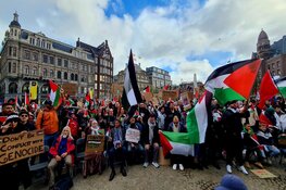 Duizenden lopen mee in mars voor Palestina