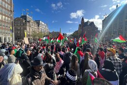 Duizenden lopen mee in mars voor Palestina