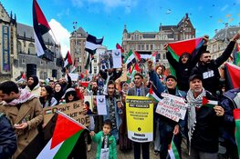 Duizenden lopen mee in mars voor Palestina