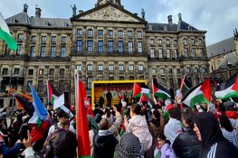 Duizenden lopen mee in mars voor Palestina