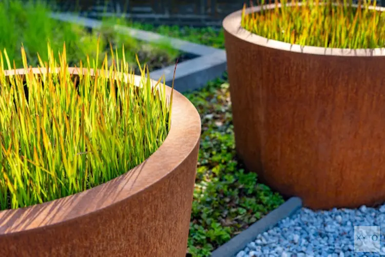Hoe een cortenstaal plantenbak kan bijdragen aan een gezonde plantengroei