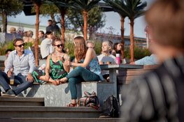 Vier de zomer op het dak van NEMO