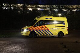 Gewonde bij steekincident Reigerbosdreef