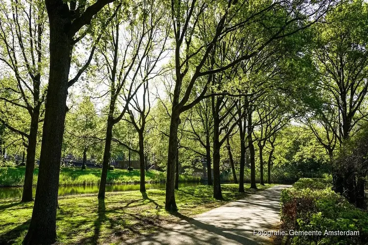 Nieuwe monitor: 61 procent van openbare ruimte is groen