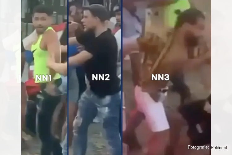Gezocht: Openlijke geweldpleging tijdens festival Riekerhaven