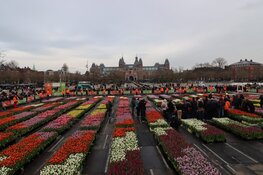 DJ Hardwell doopt eigen tulp tijdens start tulpenseizoen