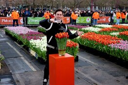 DJ Hardwell doopt eigen tulp tijdens start tulpenseizoen
