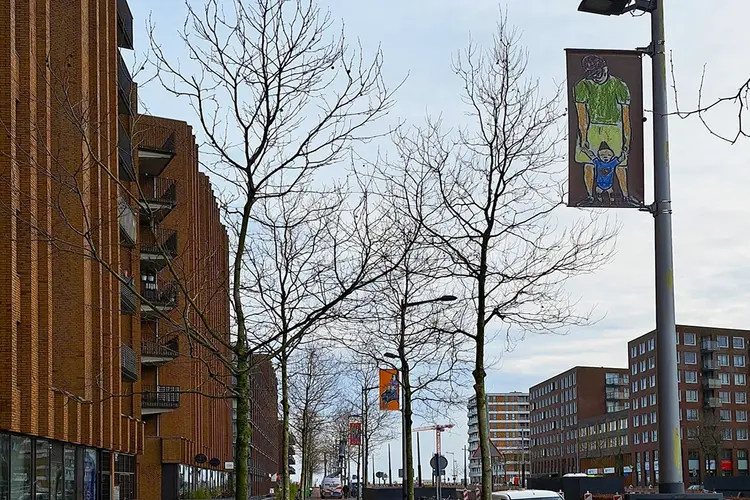 Pampuslaan wordt kunstgalerij: nieuw kunstwerk voor en door buurt