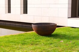 De betovering van de vuurschaal