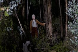 Tentoonstelling Albert Serra – Liberté in Eye Filmmuseum