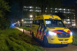 Auto belandt tussen bomen Cornelis Lelylaan