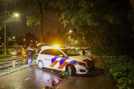 Boom valt op scooterrijder in Nieuw-West