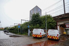 Omgewaaide boom legt treinverkeer tussen Amsterdam CS en Duivendrecht plat