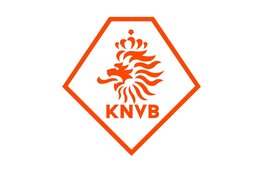 Daley Blind stopt na 108 interlands als international