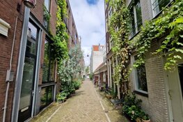 Politie houdt 20-jarige verdachte aan na zinloos geweld