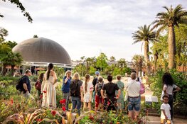 ARTIS nodigt alle aardbewoners uit voor eerste editie Aardbewoners Festival