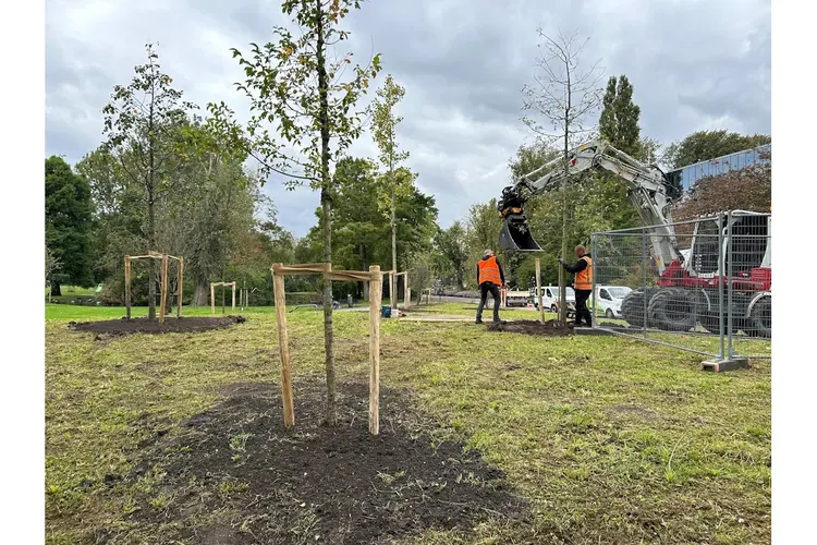 Parkhart Oosterpark verrijkt met veel nieuwe planten en bomen