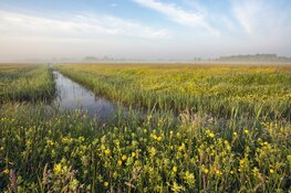 Noord-Hollandse Natuurdag: inspirerende sprekers delen ontdekkingen uit de natuur op 23 november, kom je ook?