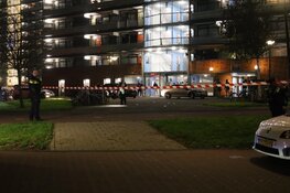 Drie zwaargewonden bij schietincident Hakfort