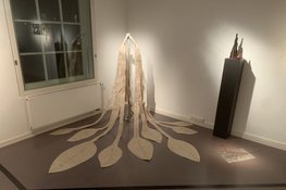 Outsider Art Galerie debuteert in Amsterdamse Museumnacht