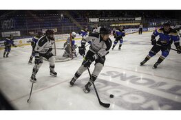 Tigers terug op de rit tegen Trappers